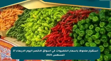 استقرار ملحوظ بأسعار الخضروات في أسواق الأقصر اليوم الأربعاء 27 أغسطس 2025